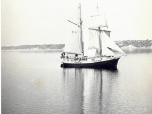 (56/63): Karys<br>1976