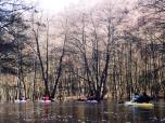 (1/26): Wda - na trasie: Szlaga - Tleń.<br>2002-02