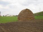 (4/25): Warta - na trasie: Koło - Nowe Miasto nad Wartą<br>2006-04