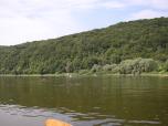 (13/88): Wysokie brzegi porastają lasy liściaste.