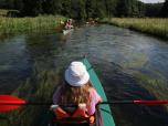 (36/51): Piława - Przy rzece ł±ki, za nimi las<br>2018-07-26