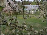 (29/106): 2019-05-03<br>Kanał Augustowski - wiosna we wsi Niemnowo